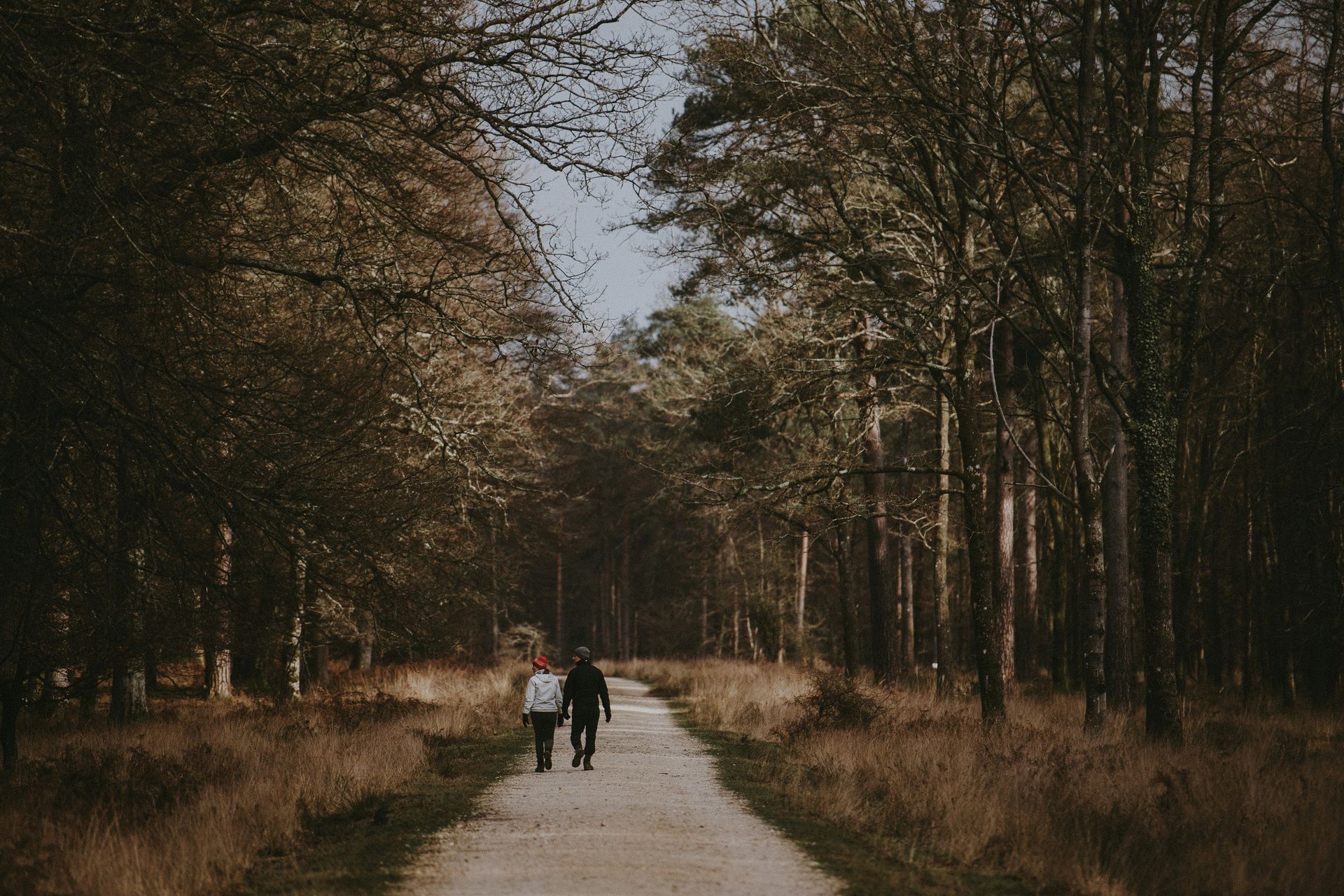 Jungiaanse psychoanalyse